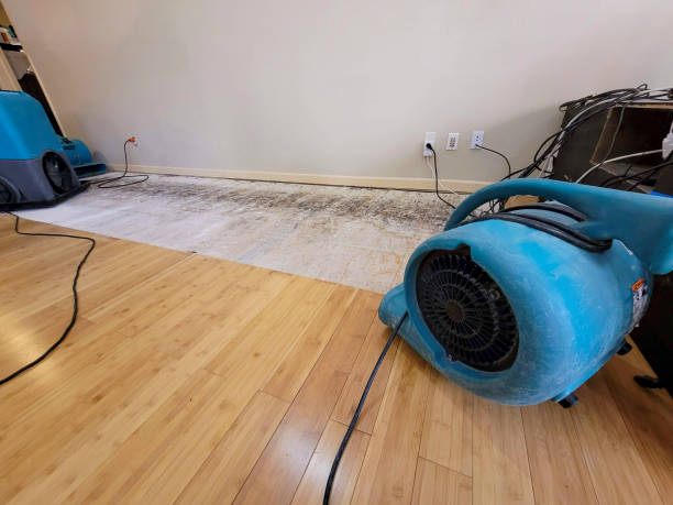 Professional Water Removal technician working in Danvers, IL